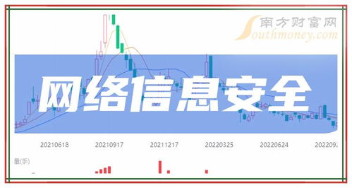 2024年網(wǎng)絡(luò)與信息安全軟件開(kāi)發(fā)龍頭上市公司全解析